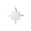 Northern Star brooch in palladium plated brass